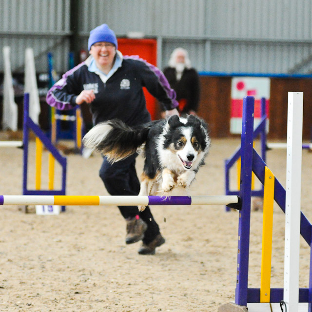 Dog Agility Photos