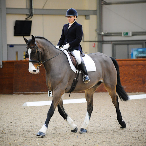 Pony Club Dressage