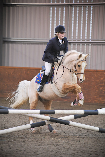 Pony Club Show Jumping Photography