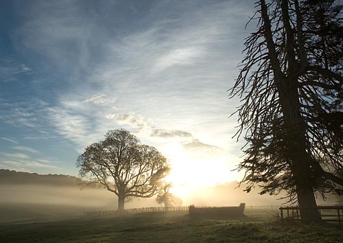 Cross-country course at dawn