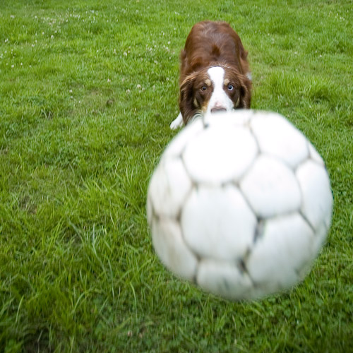 Watching the ball