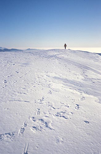 The summit plateau