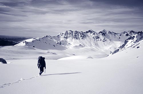 Breaking trail, New Zealand