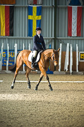 Dressage Event Photography