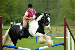 Show Jumping Photography
