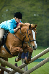 Show Jumping Photography